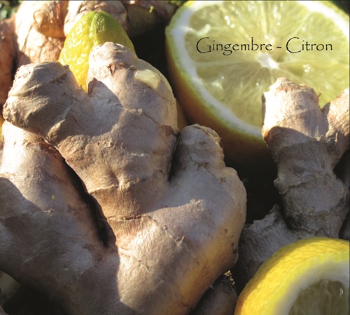 Disque : Gingembre - Citron